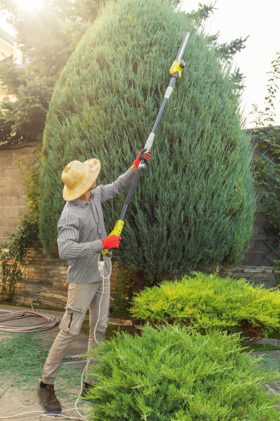 Leaf Removal in Wichita, KS